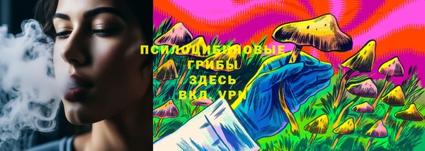 метадон Алексин